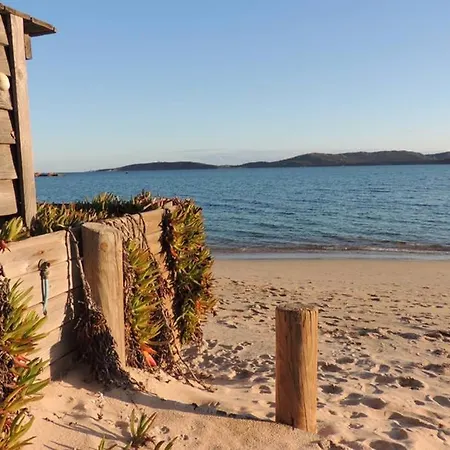 Apartment Vue Piscine Dans De Standing Porto-Vecchio (Corsica)