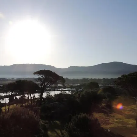 Vue Piscine Dans De Standing Apartment