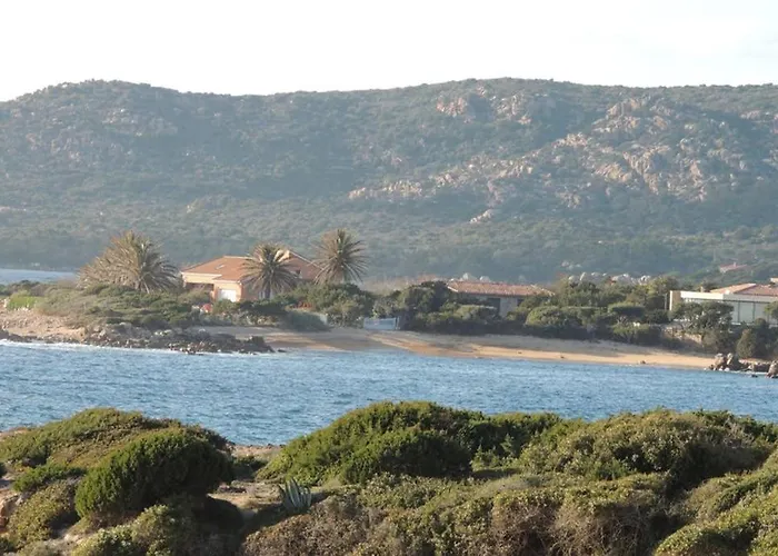 Vue Piscine Dans De Standing Apartment Porto-Vecchio (Corsica)