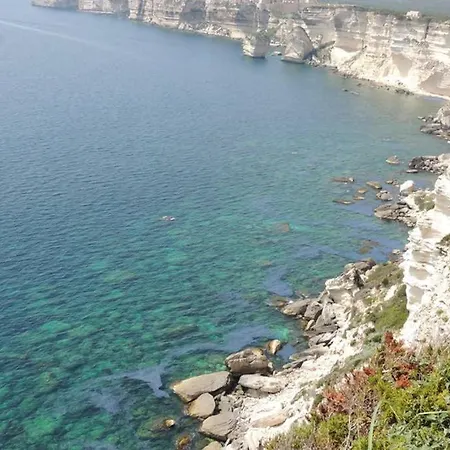 Vue Piscine Dans De Standing *