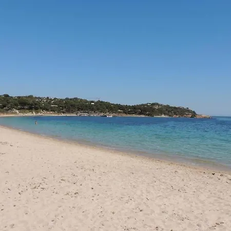 Vue Piscine Dans De Standing