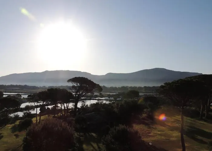 Vue Piscine Dans De Standing Apartman