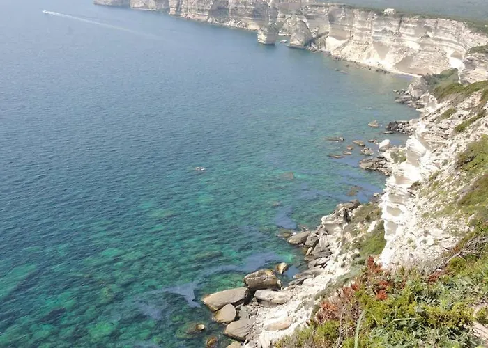 Vue Piscine Dans De Standing *