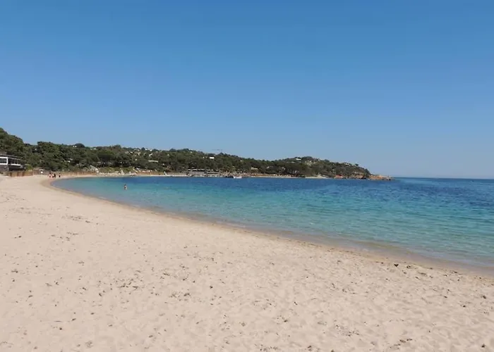 Vue Piscine Dans De Standing